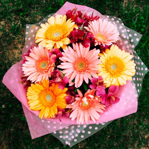 Bouquet o Ramillete de Gerberas Multicolor 🌼✨