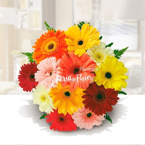 FL001 Ramillete o Bouquet de Gerberas Multicolor 1