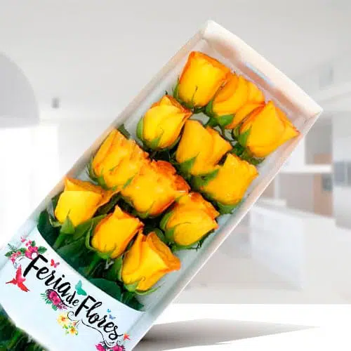 Box of 12 Yellow Roses