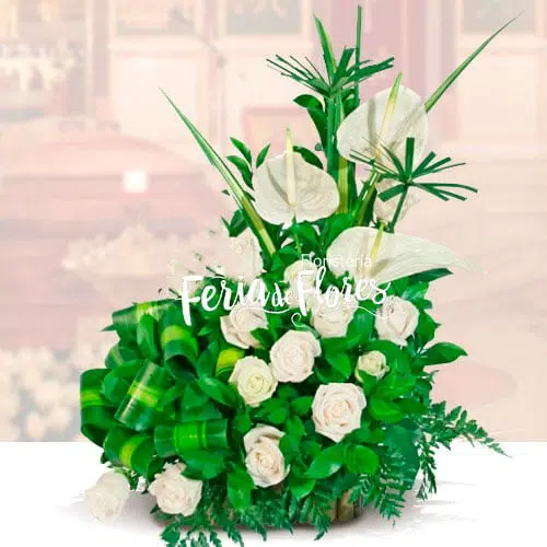 Clarity Funeral Arrangement