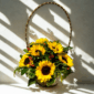Canasta Floral con 12 Girasoles