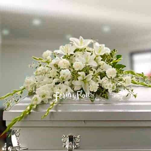 Funeral Arrangement Covers Assumption Box