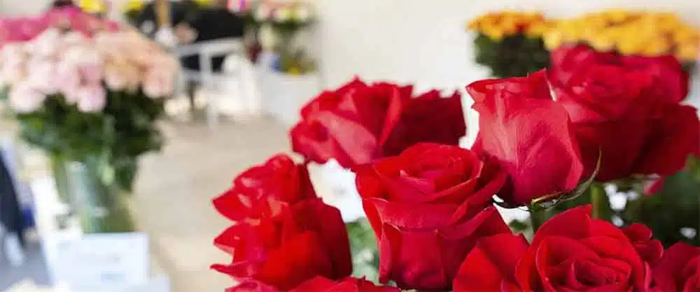 Close-up of red roses in a florist shop in Santa Marta with blurred bouquets in the background