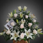 toma la imagen adjunta como base y genera ftk48yan