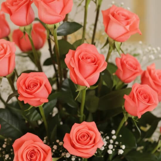 Primer plano extremo de rosas salmón frescas con gotas de rocío, parte del Arreglo Floral ABRAMIO, destacando su textura y co