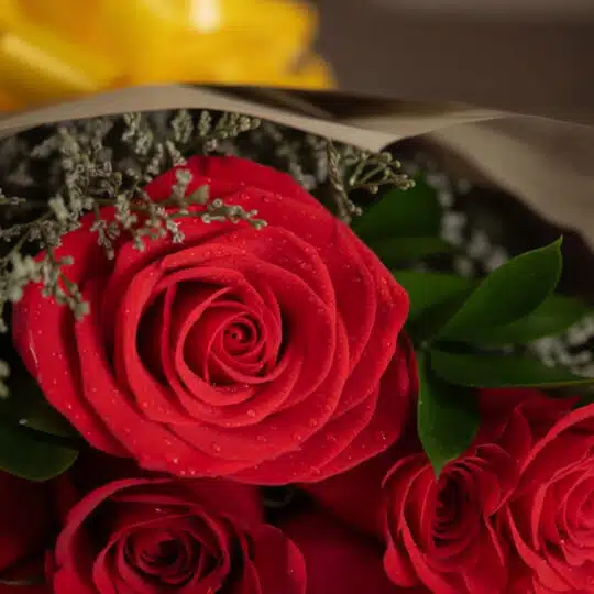 Primer plano extremo de un bouquet de rosas rojas con gotas de rocío, hojas verdes y un lazo amarillo, resaltando la textura