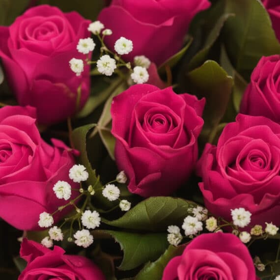 Primer plano extremo de rosas fucsia vibrantes con sutiles gotas de rocío, hojas verdes y pequeñas flores blancas, destacando