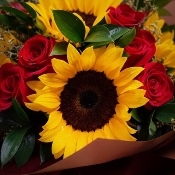 Primer plano extremo de un ramo Aurora con rosas rojas vibrantes y girasoles amarillos, mostrando gotas de rocío y texturas h