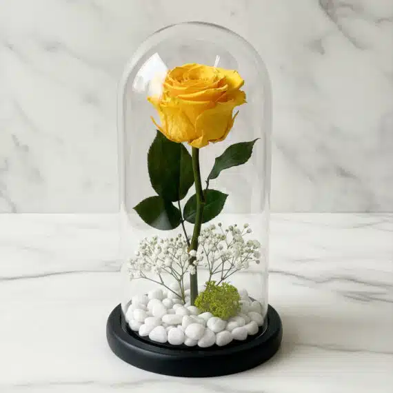 Rosa Eterna Amarilla Donatella: Elegancia Inmortal en Domo de Cristal Rosa eterna amarilla vibrante dentro de un domo de cristal, con base negra, rodeada de pequeñas piedras blancas y follaje ver