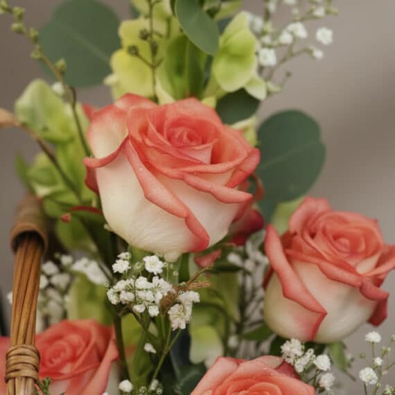 Primer plano extremo de rosas frescas con pétalos blanco-salmón y gotas de rocío, rodeadas de follaje verde y pequeñas flores